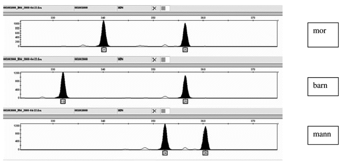 Figur 4.2 Eksempel 2. Markør FGA (PowerPlex16/Promega)