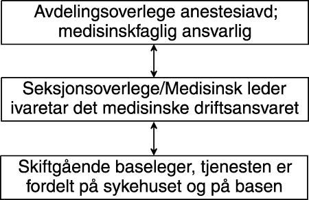 Figur 4.7 Typisk organisasjonsform ved baser som er «integrert» i sykehus