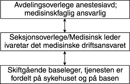 Figur 4.7 Typisk organisasjonsform ved baser som er «integrert» i sykehus