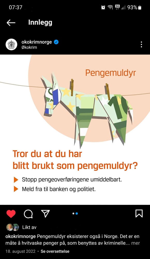Figur 2.4 Skjermbilde av Økokrims bevisstgjøringskampanje om pengemuldyr på Instagram