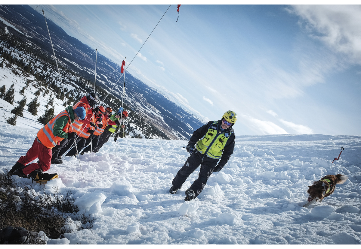 Figur 23.3 Redningshund og frivillig mannskap jobber for å finne savnede.