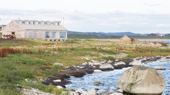 I Langhuset (The Longhouse) på Lista i Farsund bor du vegg i vegg med kuene og sandsvalene