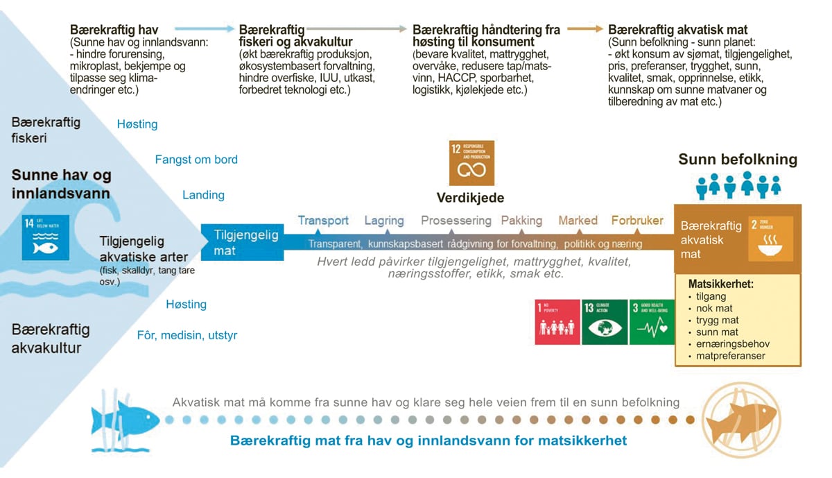 Figur 2.11 Mat frå havet og matsikkerheitsarbeid.