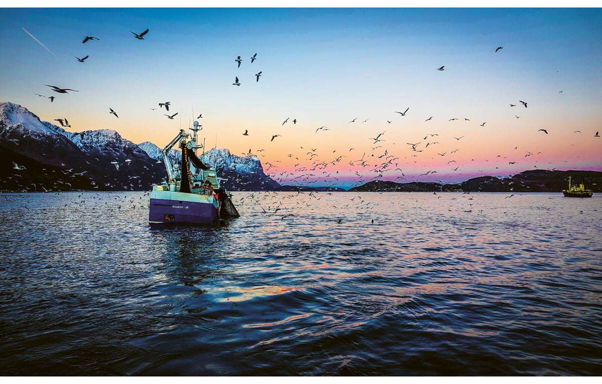 Figur 3.5 Sildefiske ein tidleg dag i november.