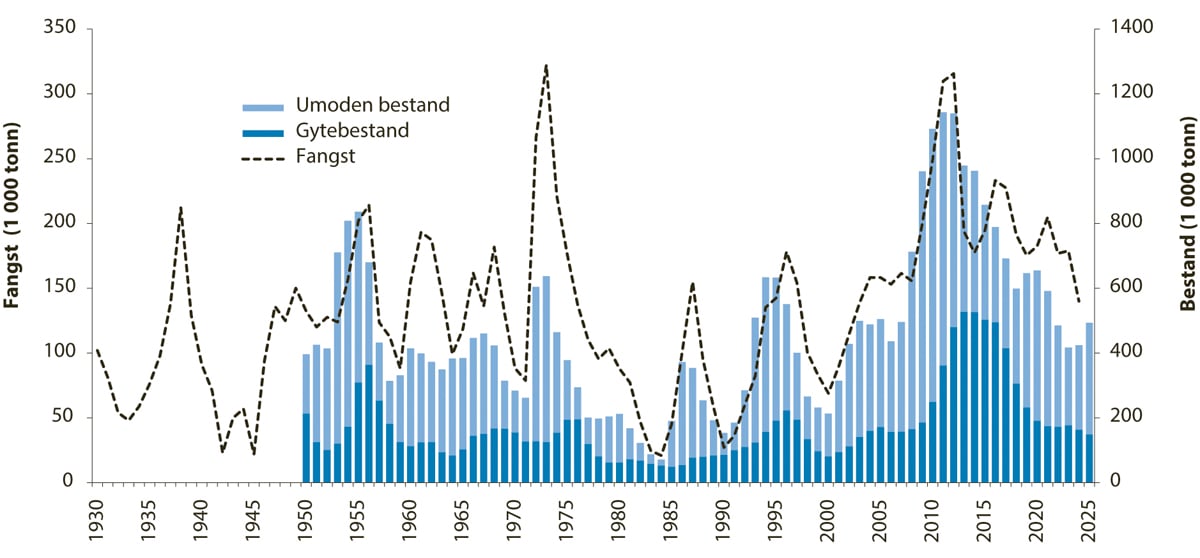 Figur 4.10 Utviklinga i bestand og fangst av nordaustarktisk hyse.