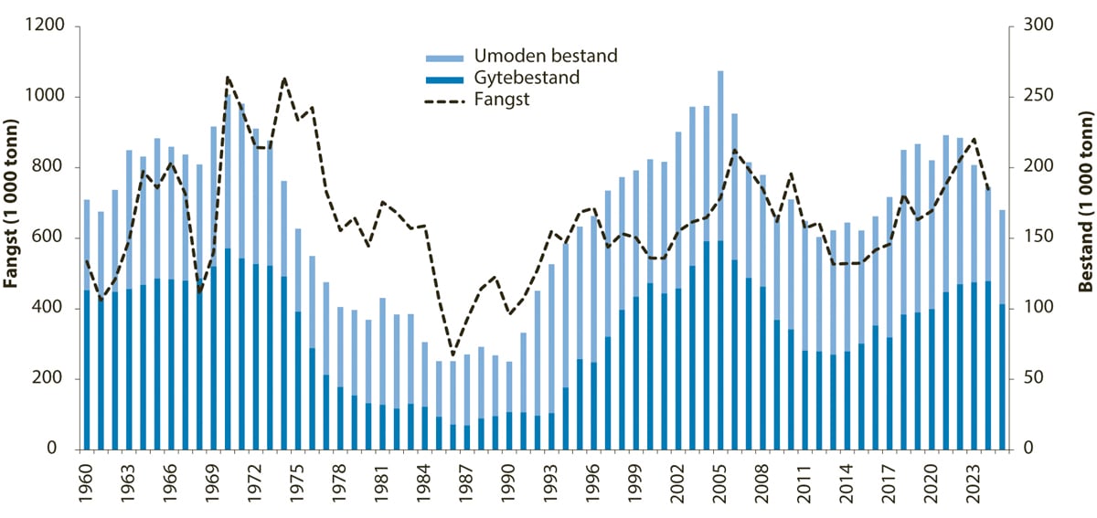 Figur 4.13 Utbreiingsområde og gyteområde for nordaustarktisk sei.