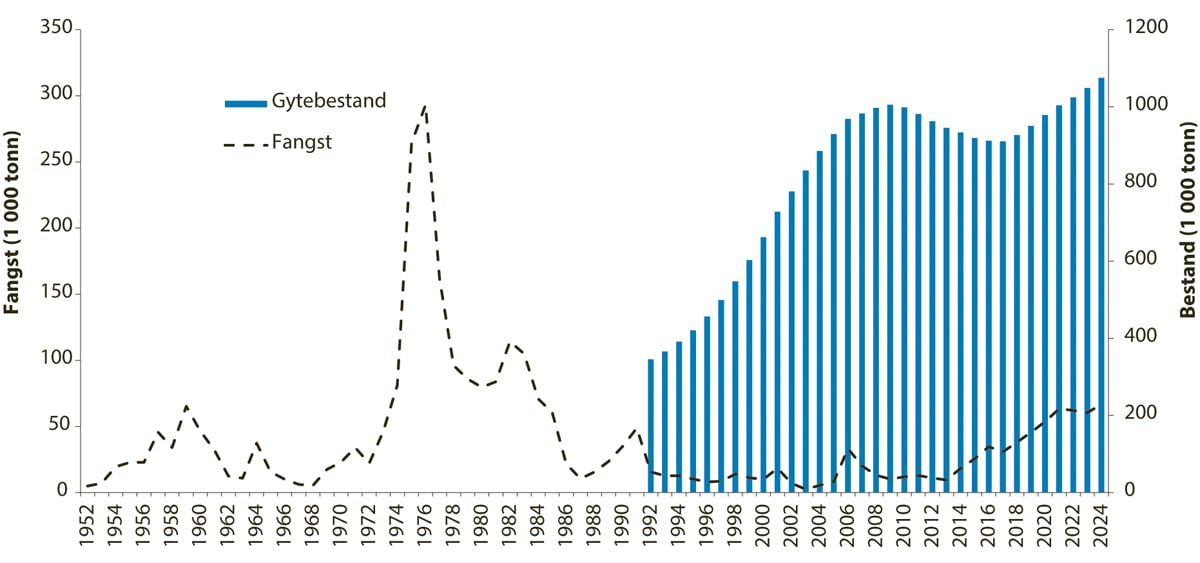 Figur 4.19 Utviklinga i bestand og fangst av snabeluer i ICES-område 1 og 2.