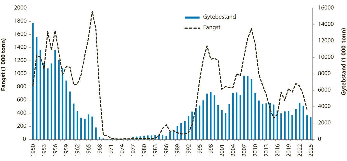 Figur 4.28 Utviklinga i bestand og fangst av norsk vårgytande sild.