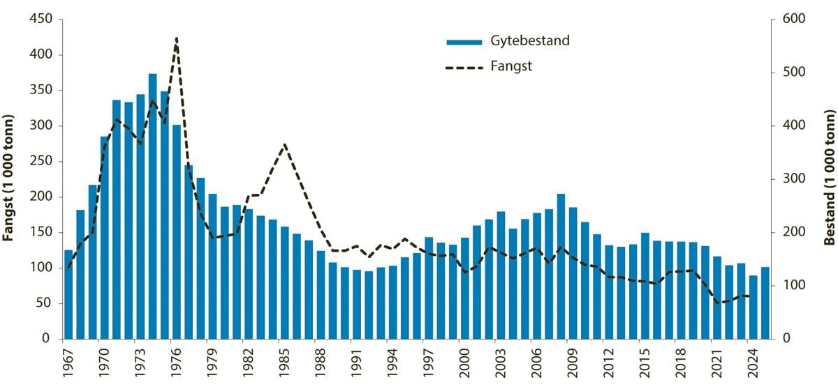 Figur 4.43 Utviklinga i bestand og fangst av sei i Nordsjøen, i Skagerrak og vest for Skottland.