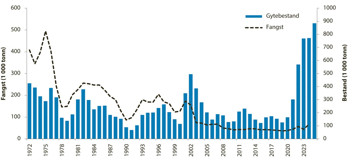 Figur 4.50 Utviklinga i bestand og fangst av hyse i Nordsjøen, i Skagerrak og vest for Skottland.