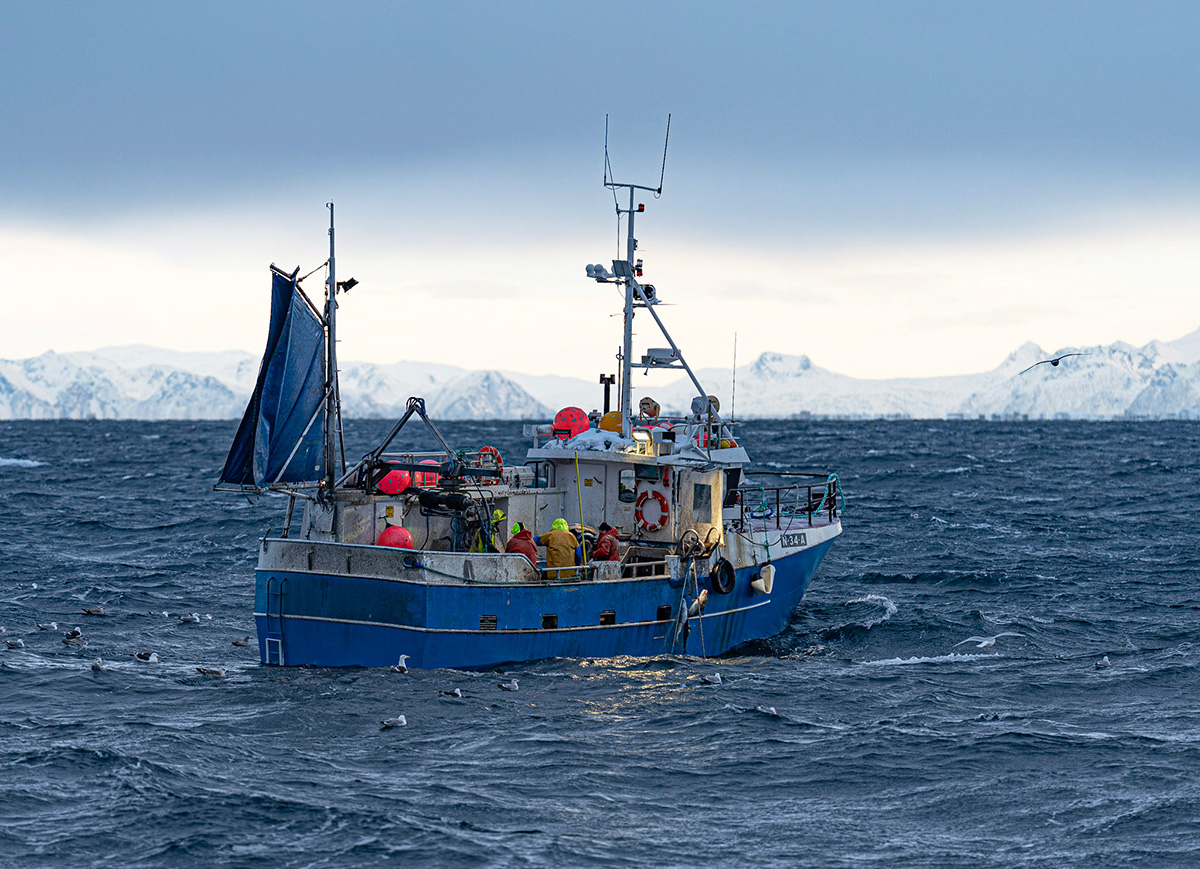 Figur 5.12 Garnfiske i Lofoten.