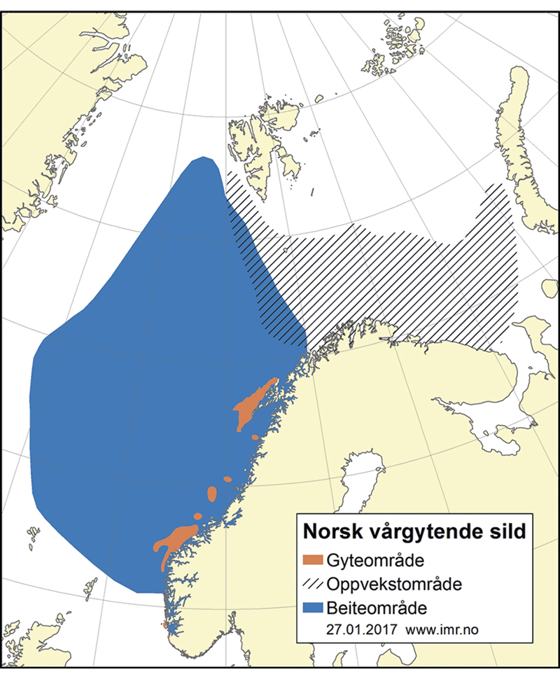 Figur 4.26 Utbreiingsområde og gyteområde for norsk vårgytande sild 