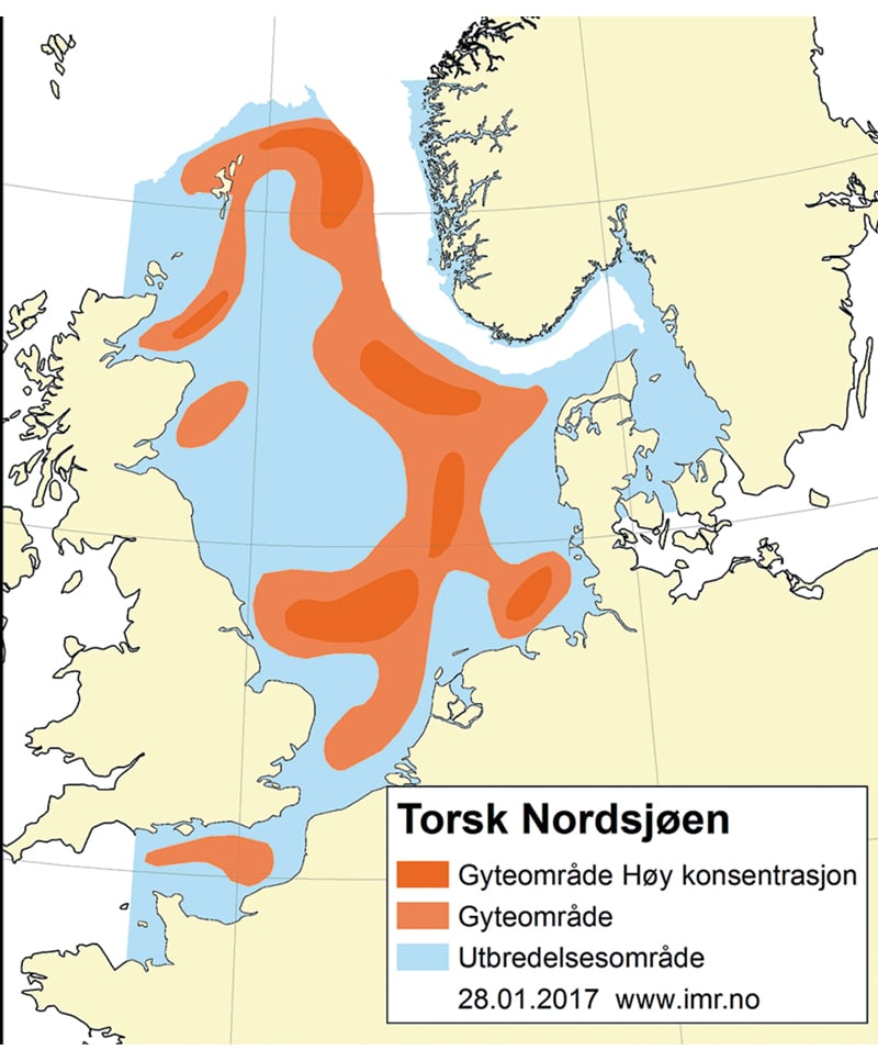 Figur 4.44 Utbreiingsområde og gyteområde for torsk i Nordsjøen, Skagerrak og austdelen av Den engelske kanalen
