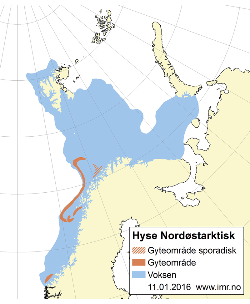 Figur 4.9 Utbreiingsområde og gyteområde for nordaustarktisk hyse
