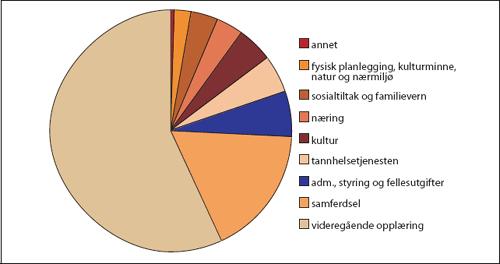 Figur 3.1 Brutto driftsutgifter fordelt på hovedområder
 i fylkeskommunene, eksklusive Oslo. 2003. 
 Prosent.