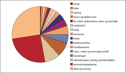 Figur 3.2 Brutto driftsutgifter fordelt på hovedområder
i kommunene, eksklusive Oslo. 2003. Prosent.