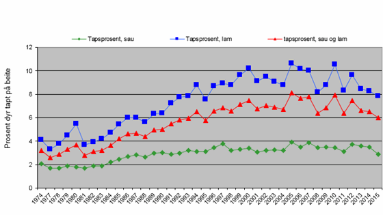 Utvikling i tap av sau på utmarksbeite i Troms fra 1974 – 2015. Kilde: tall fra organisert beitebruk. 