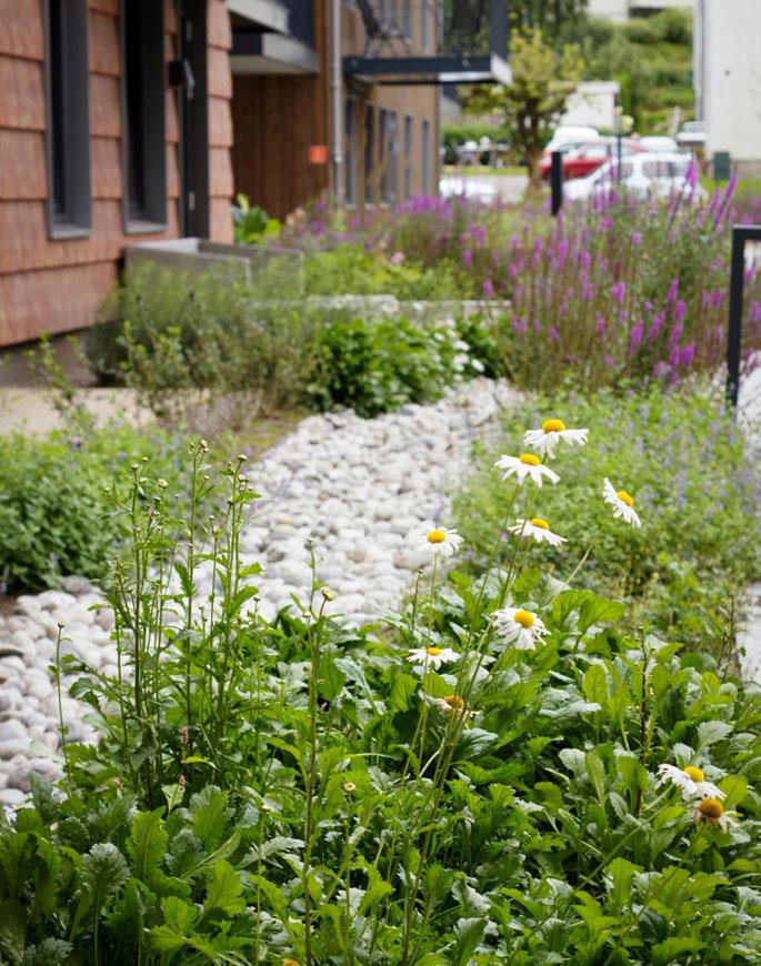 Bilde 53: Havegaten 1, Tønsberg. Utbygger: Pilares Eiendom AS. Arkitekt/landskapsarkitekt: Holar Ola Roald AS/Landskapskollektivet AS. Foto: Landskapskollektivet AS