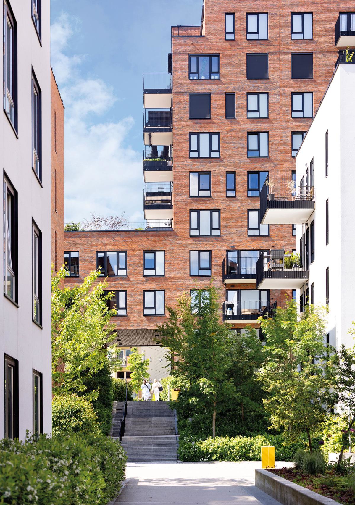 Photo of Krydderhagen, Oslo. Developer: Haslemann AS. Architect/Landscape architect: Dyrvik Arkitekter AS/Grindaker AS. Photo: Stine Østby