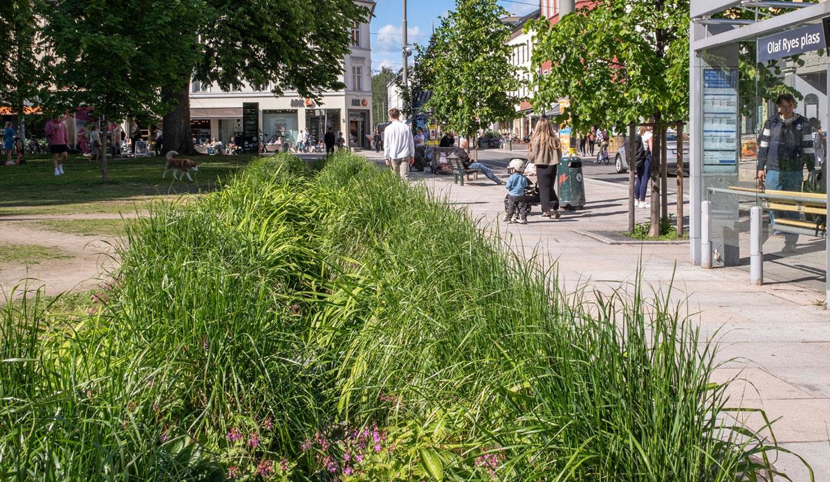 Photo of Thorvald Meyers gate, Oslo. Client: Oslo municipality, the Agency for Urban Environment. Lands-cape architect: Norconsult AS. Photo: Amund Johne