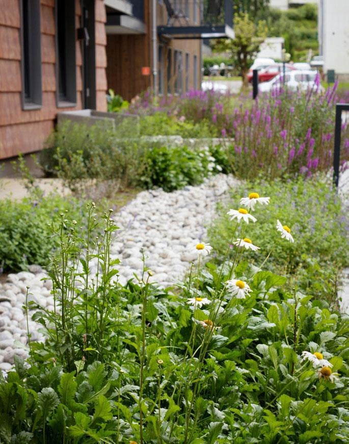 Photo of Havegaten 1, Tønsberg. Developer: Pilares Eiendom AS. Architect/Landscape architect: Holar Ola Roald AS/Landskapskollektivet AS. Photo: Landskapskollektivet AS