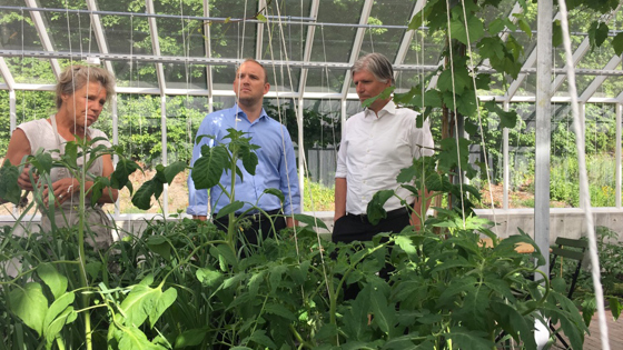 Klima- og miljøminister Ola Elvestuen og landbruks- og matminister Jon Georg Dale 