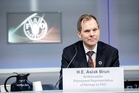 Norges ambassadør til FAO, Aslak Brun