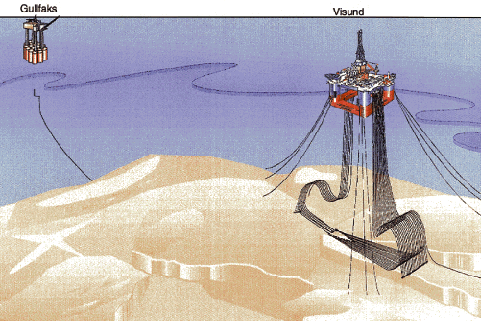 Figur 8.10 Skisse av Visundfeltet