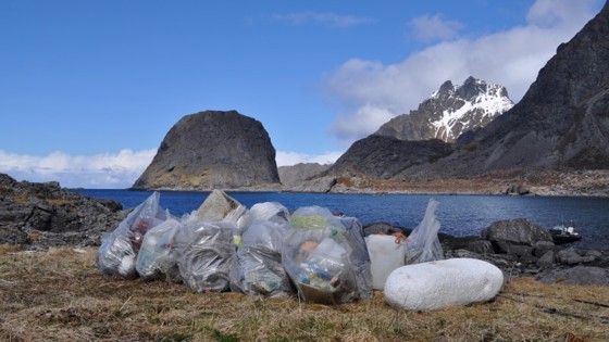 Søppel som er ryddet i vakker natur