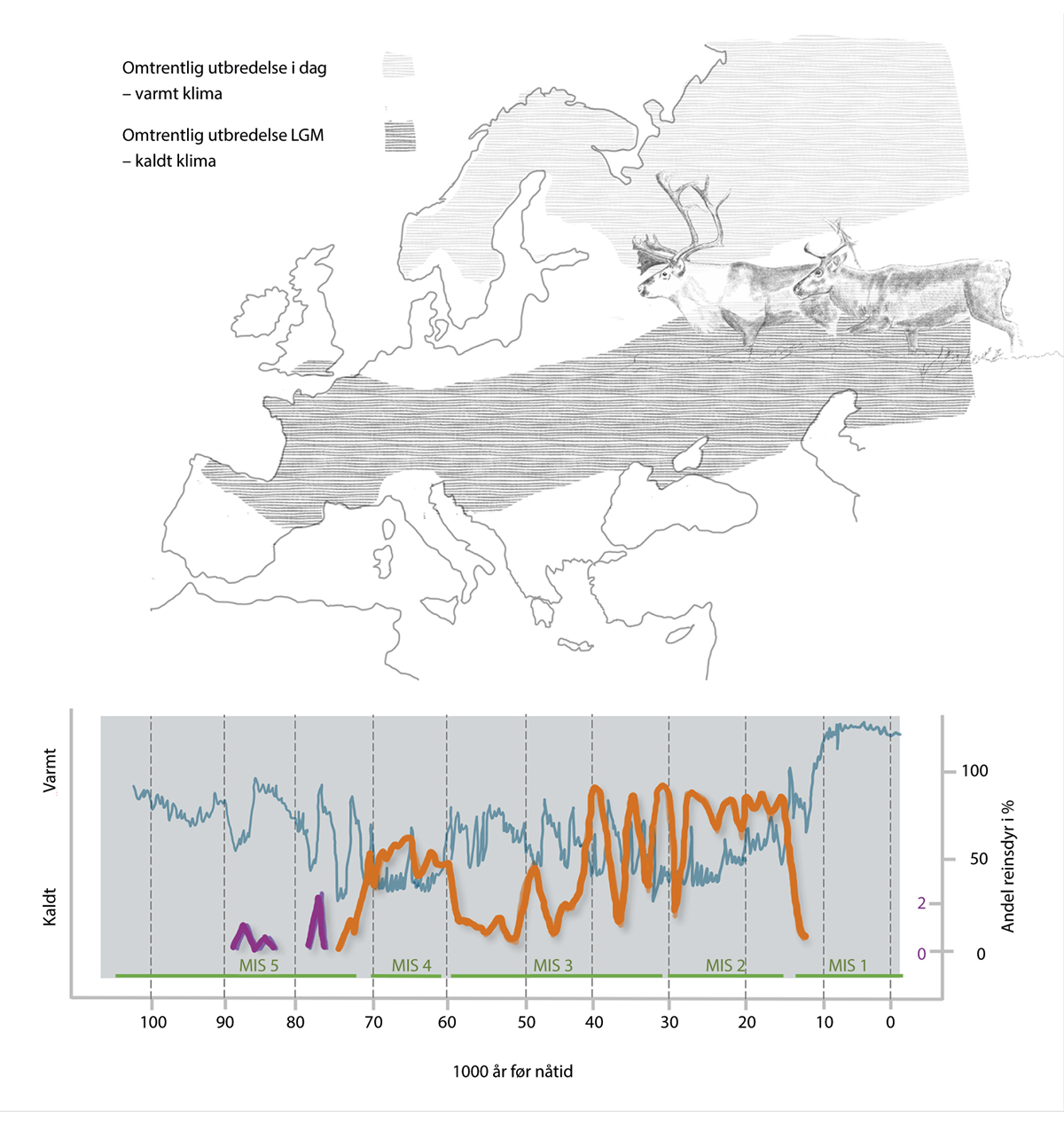 Figur 3.2 Kart med omtrentlig utbredelse for reinsdyr under glasiale og interglasiale forhold (Banks m fl. 2008)1, omtrentlig temperatur basert på oksygen isotop indeks («Oksygen isotop rate») fra GRIP, data fra van Andel m fl. (2003)2, og andelen reinsdyr i b...