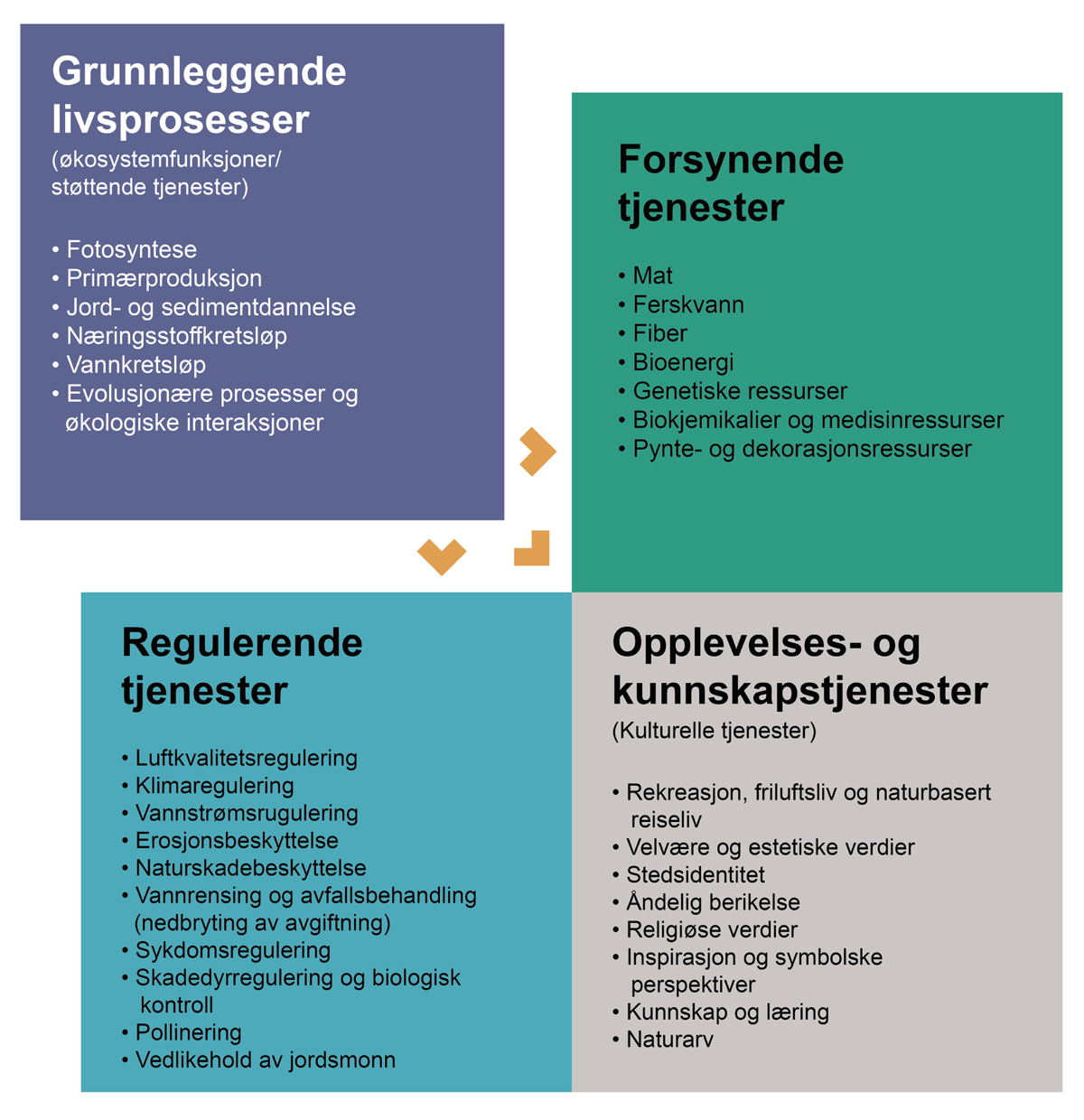 Figur 4.1 Kategorisering av økosystemtenester.