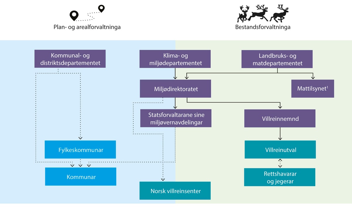 Figur 6.1 Organisasjonskart med dei mest relevante aktørane i villreinforvaltninga. Lilla boksar er statlege verksemder. Blå boksar er sjølvstendige forvaltningsnivå med eiga folkevalt leiing. Grøne boksar er private og andre. Harde linjer viser overordna styr...