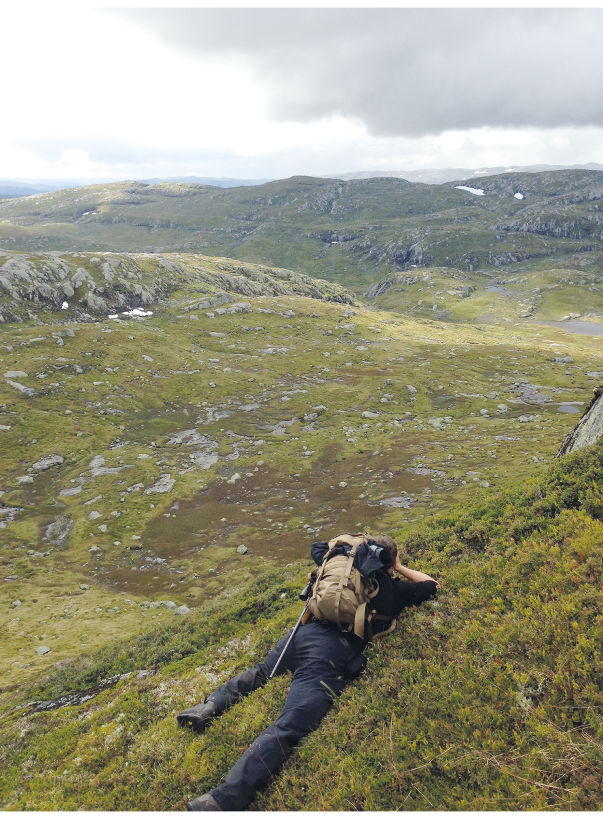 Figur 7.10 Jakt er det viktigaste verkemiddelet for å sikre at talet på villrein ikkje overstig bereevna i villreinområdet.