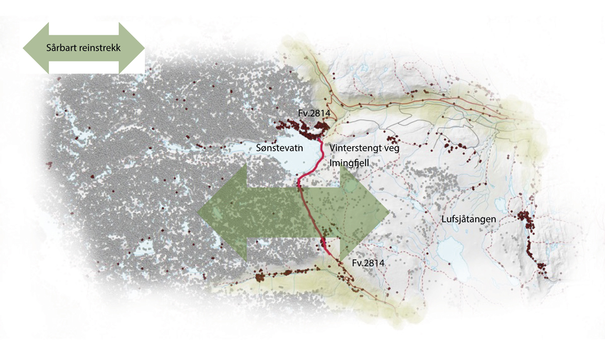 Figur 7.4 Kart som viser sårbart villreintrekk(grøn pil) over fylkesveg 2814 (raud strek) ved Imingfjell.