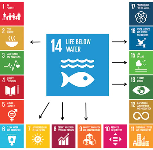 Figure 2.1 Implementation of SDG 14 will also play a part in achieving other SDGs.
