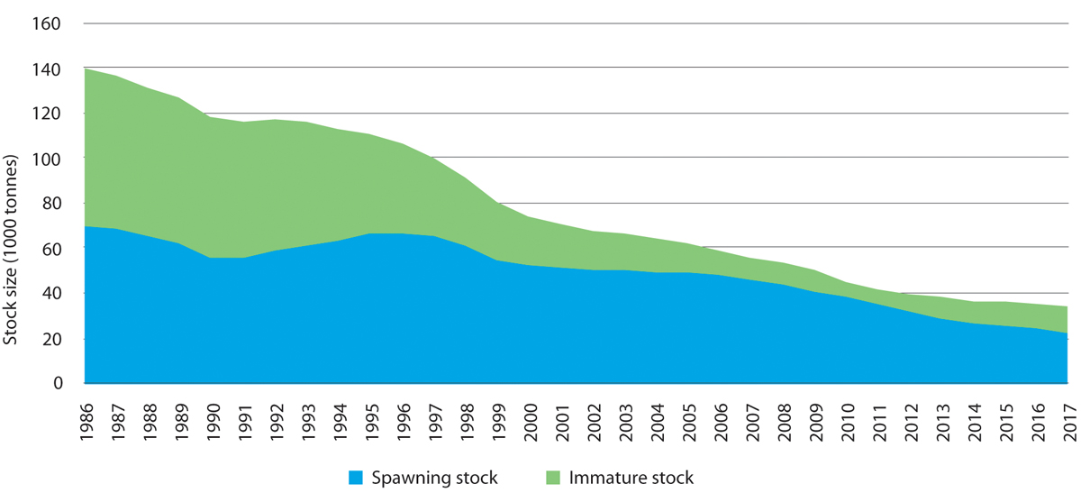 Figure 3.16 Time series showing estimated biomass of the immature stock and spawning stock of golden redfish in the Barents Sea and Norwegian Sea. The sum of the two gives the total stock size.
