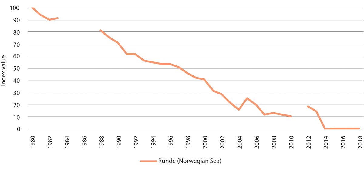 Figure 3.18 Population trend for kittiwakes on Runde island in the Norwegian Sea. Population expressed as index values. Breaks in the graph represent years where no data is available.

