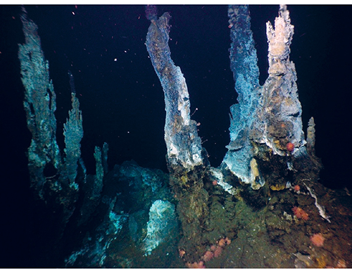 Figure 3.21 These ‘black smokers’ on the Mid-Atlantic Ridge between Jan Mayen and Bjørnøya are hydrothermal vents formed by the deposition of metal-rich sulphide minerals. Such areas support a highly diverse community of organisms closely adapted to the conditio...