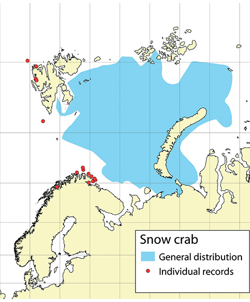 Figure 3.7 Distribution of snow crab in the Barents Sea and individual records outside this area, based on data up to the end of 2019.
