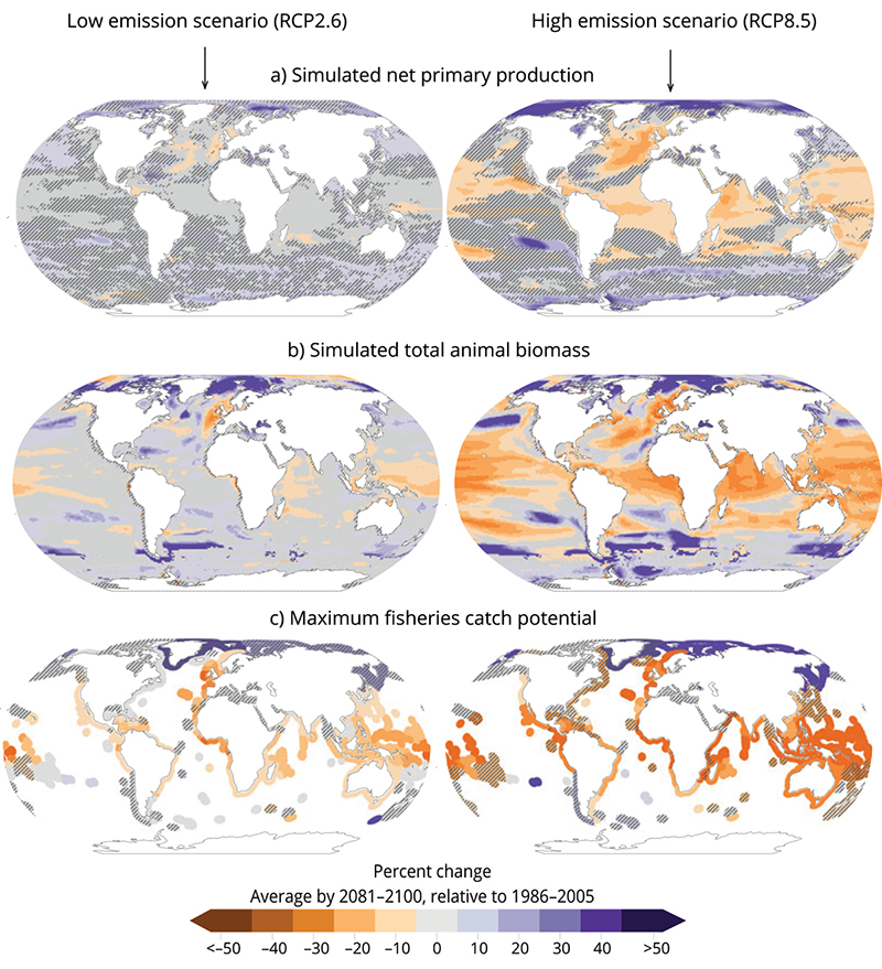 Figure 4.3 Projected changes in the world’s oceans by the end of this century: a) net primary production, b) total animal biomass, and c) maximum fisheries catch potential. Purple indicates a rise and orange a decline. The two sets of diagrams show, left, a low...