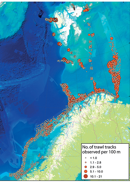 Figure 5.6 Number of trawl tracks observed per 100 metres.
