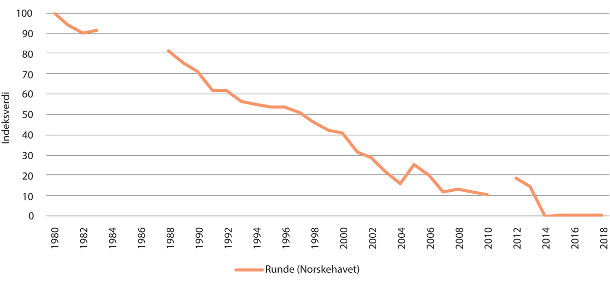 Figur 3.18 Bestandsutvikling for krykkjepå Runde i Norskehavet, angitt som indeksverdi. Brudd i grafene representerer år da det mangler data.
