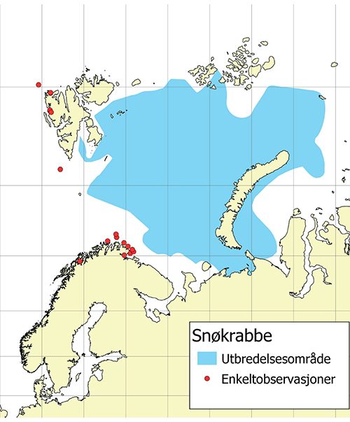 Figur 3.7 Utbredelse av snøkrabbe i Barentshavet samt observasjoner utenfor utbredelsesområdet basert på kunnskap opp til og med 2019.
