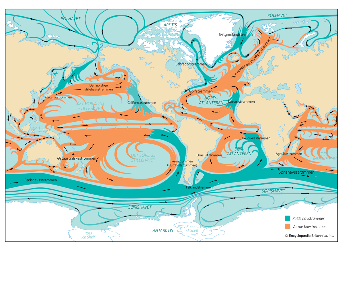 Figur 4.1 Havstrømmer i verdenshavene. Norske havområder er en del av et sammenhengende havsystem og kretsløp.

