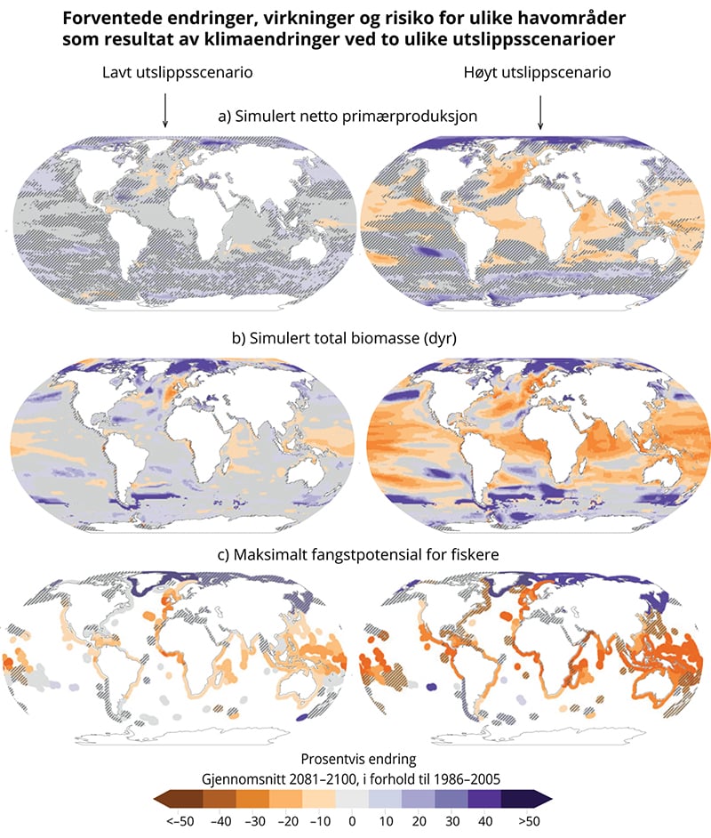 Figur 4.3 Forventede endringer i verdenshavene ved slutten av århundret for a) netto primærproduksjon, b) total biomasse, og c) maksimalt fangstpotensiale for fiskerier. Lilla farge indikerer økning og orange farge indikerer reduksjon. Figurene til venstre vis...