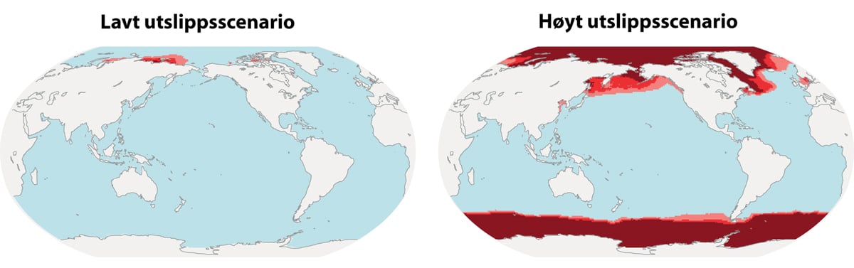 Figur 4.6 Forventet global fordeling av havforsuring mot slutten av århundret. Rød farge indikerer områdene med den største forventede havforsuringen. Figuren til venstre viser et scenario med lave klimagassutslipp (RCP2.6) og figuren til høyre viser et høyt u...