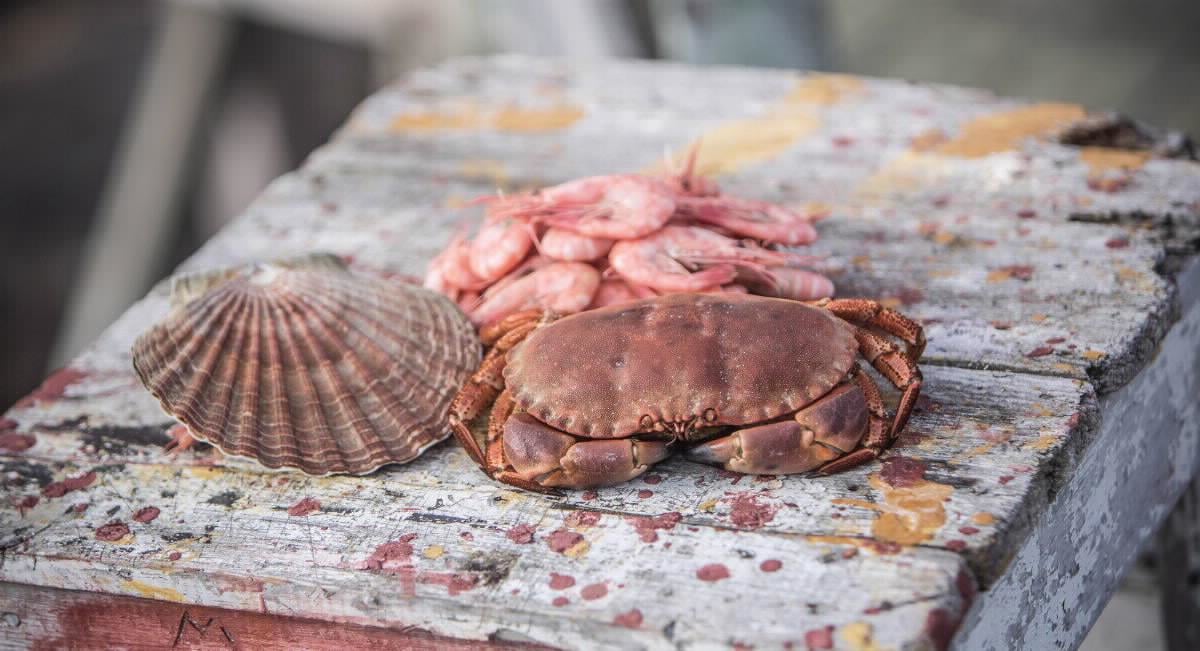 Crabs, shrimp and shells on display on a stool.