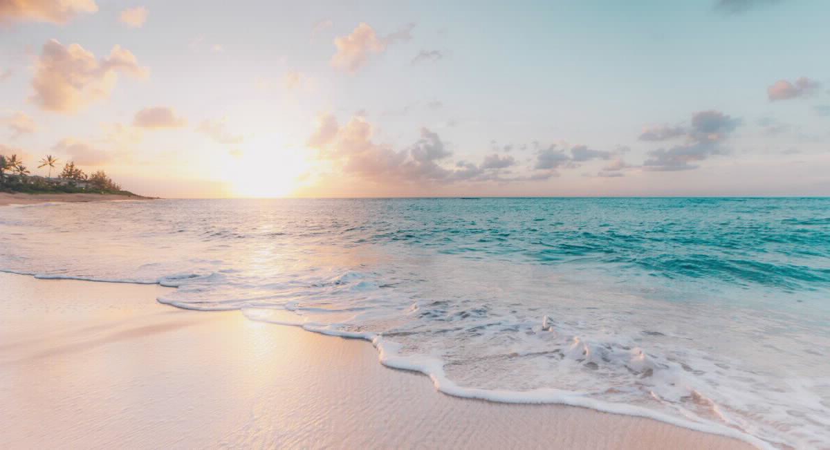 Sea and beach at sunset with palm trees in the background.