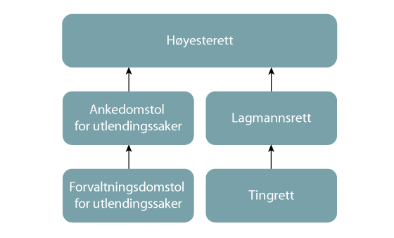 Figur 32.1 Egen ankedomstol