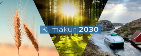 Logo Klimakur 2030